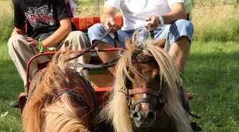 IV festyn w Konradowie