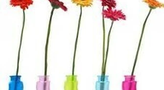 Dzień Matki i Cocotier czyli dzisiaj przy fontannie