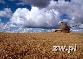 Dożynkowy weekend