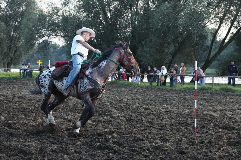 Sobota i niedziela w Wyszanowie