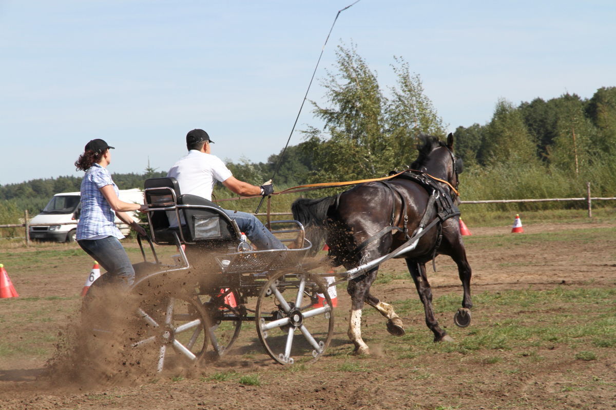 Zaprzęgi na start