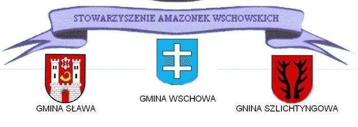 Stowarzyszenie Amazonek w SCKiW