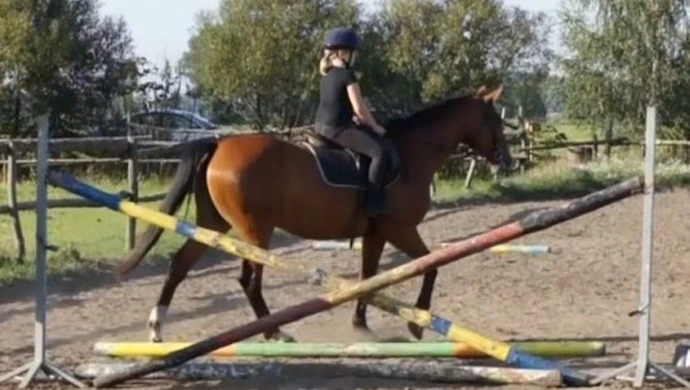 Skoki Przez Przeszkody już w niedzielę