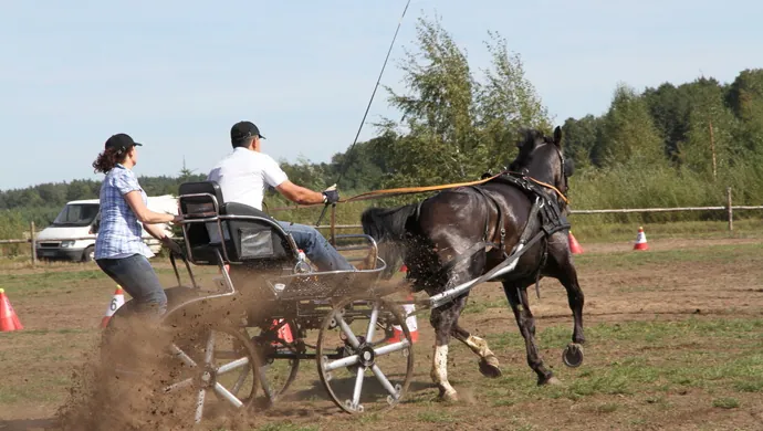Zaprzęgi na start