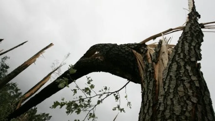 Było wietrznie we Wschowie