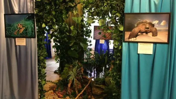 Fotografia Dzikiej Przyrody 2010 - 2011 w MZW