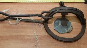 Zabezpieczyli urządzenia do kłusowania