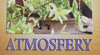 Promocja czytelnictwa w Szlichtyngowej