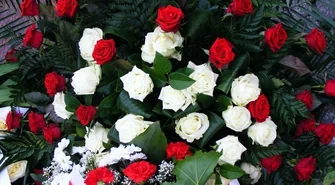 11 listopada we Wschowie