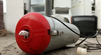 Piotr Dziełakowski zwycięzcą