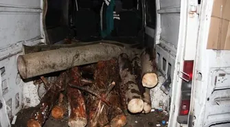 Złapani z ciężkim łupem