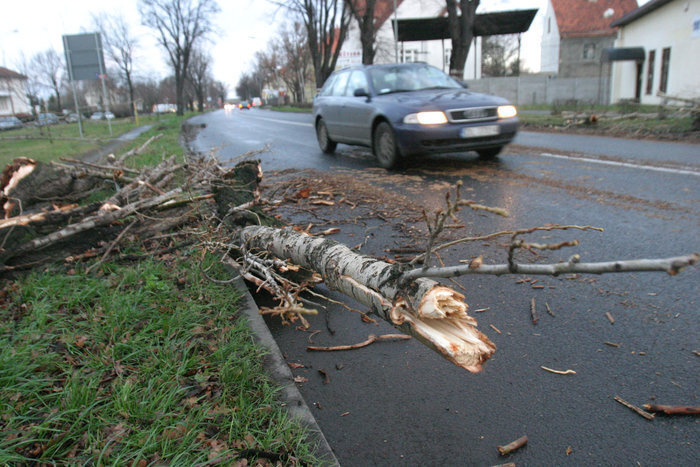 Mocno wiało w lubuskiem