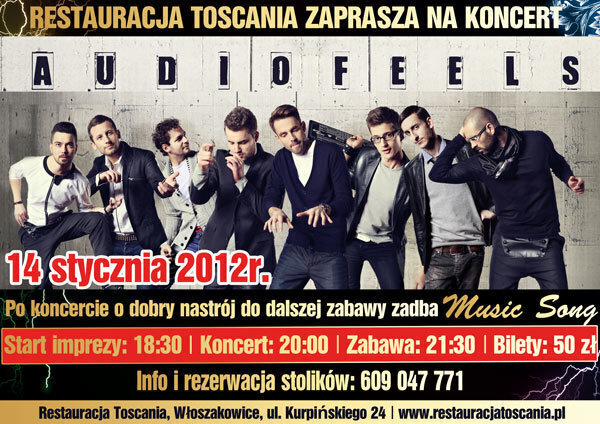 Audiofeels we Włoszakowicach