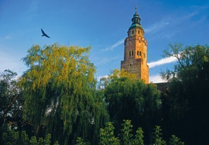 Wschowa na celowniku onet.pl