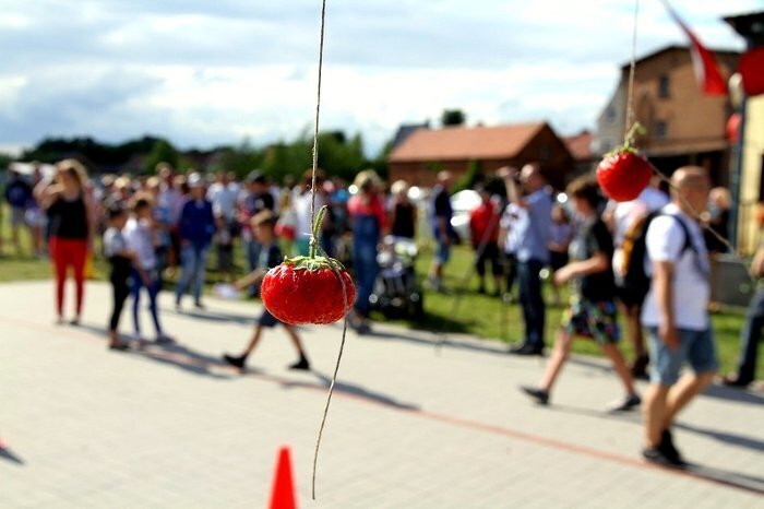 Dębowa Łęka truskawką stoi. Zobacz zdjęcia