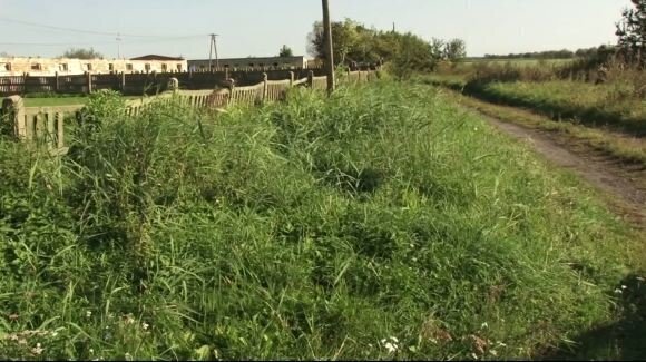 Przełom w sprawie biogazowni. To mieszkańcy i radni zdecydują czy inwestycja powstanie