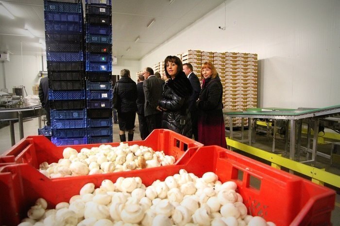 Agrochamp uznano Organizacją Producentów Owoców i Warzyw. Relacja z uroczystości