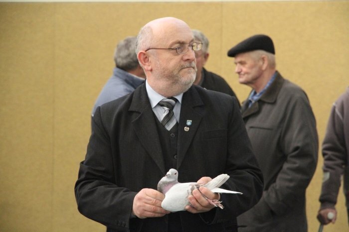 Licytowali gołębie pieniądze przeznaczą dla dzieci z DPS