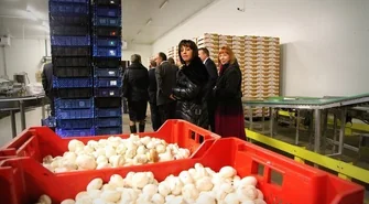 Agrochamp uznano Organizacją Producentów Owoców i Warzyw. Relacja z uroczystości