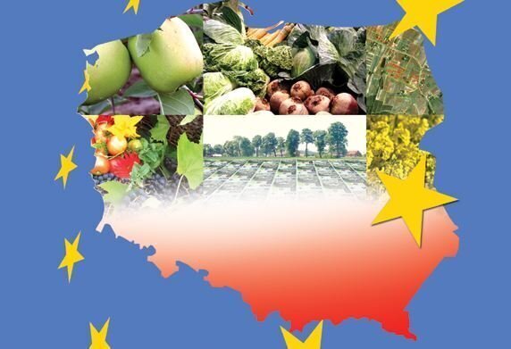 Zmiany w dopłatach bezpośrednich - powyżej 5 tys. euro redukcja dopłat o 10