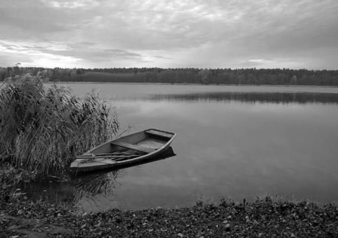Agnieszka Kuryłło zwycięzcą II edycji konkursu fotograficznego Wschowa - Moje Miasto