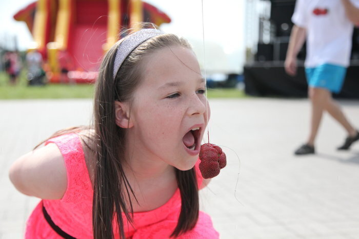 Święto Truskawki 2013