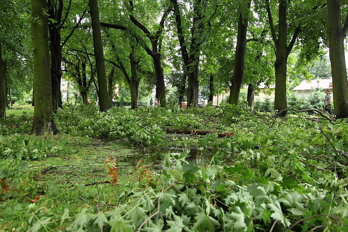 Porządki po burzy