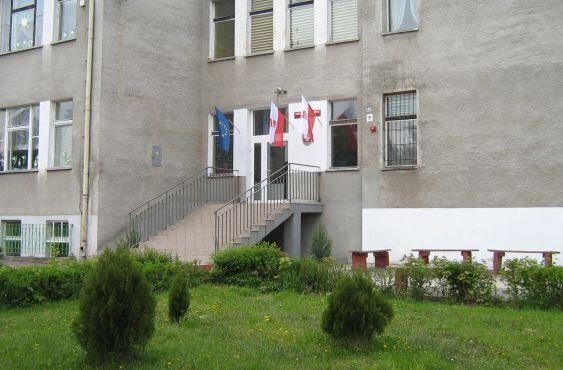 SP Lgiń posadzono 50 iglaków wokół szkoły