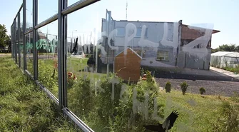 ,,... pluj, Falubaz to ?#%#" czyli kibice Falubazu kontra kibice Unii