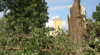 Nie ma parku w Dębowej Łęce