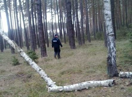 Zakończyły się poszukiwania małoletnich