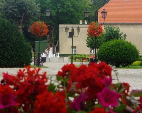 Zagłosuj na ukwieconą Wschowę