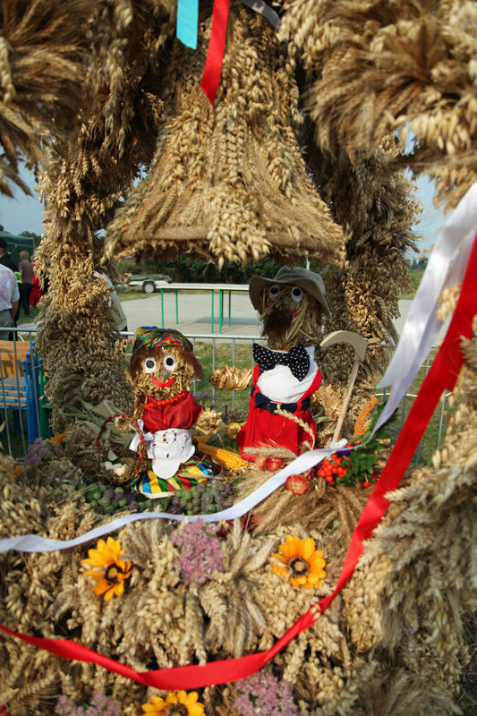 Dożynki Powiatowo-Gminne 2014