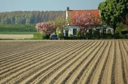 Ogłoszenie Rolniczej Spółdzielni Produkcyjnej w Lginiu