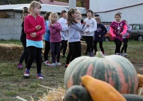 Konkurs na największą dynię