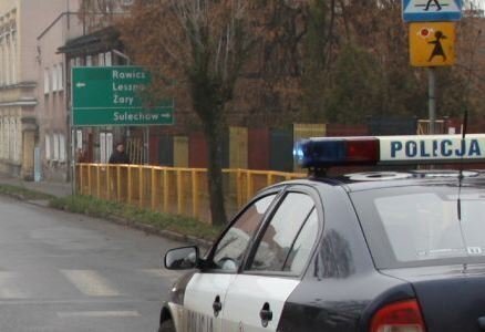 Piesi pod lupą