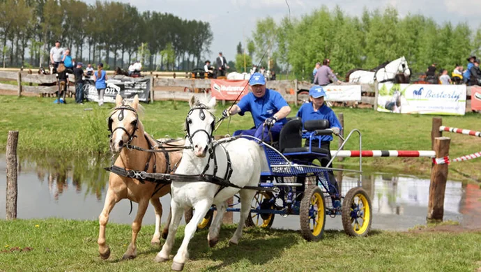 Klub Jeździecki Tradycja zainaugurował cykl imprez plenerowych