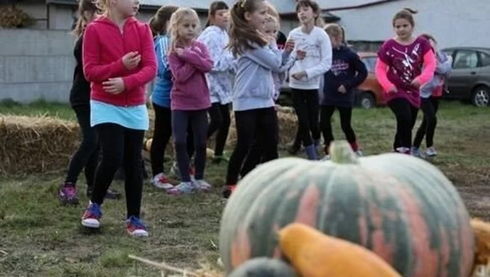 Konkurs na największą dynię