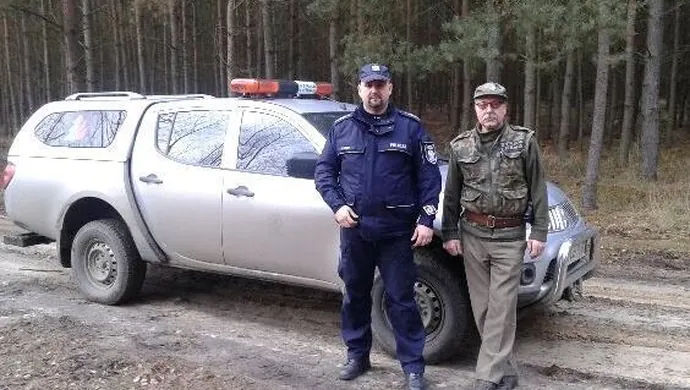 Nielegalna wycinka drzew