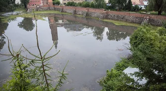 Niedrożna fosa, woda zalewa piwnicę i teren działki