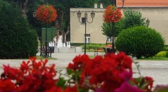 Zagłosuj na ukwieconą Wschowę