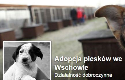 Tymczasowy Punkt Przetrzymywania Zwierząt na facebooku