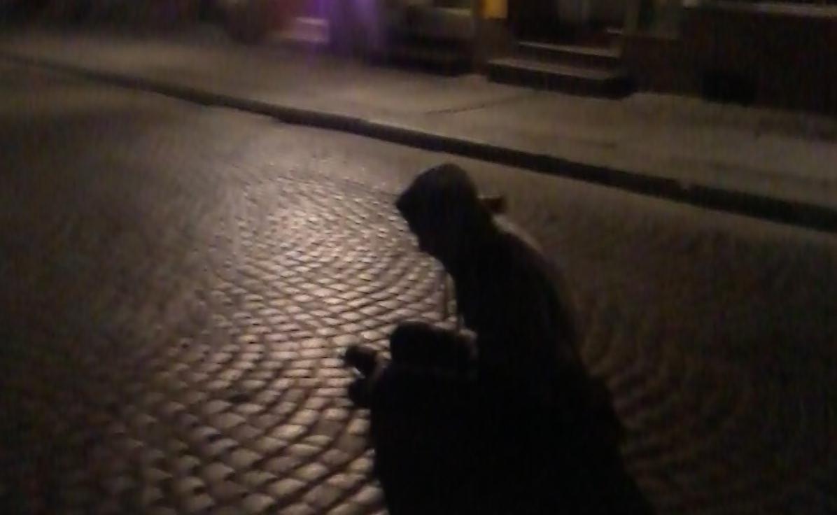 Nocna interwencja policji - uzupełnienie informacji