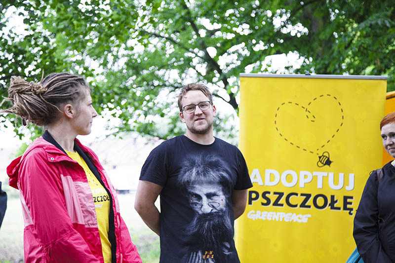 Ekologiczna łąka kwietna