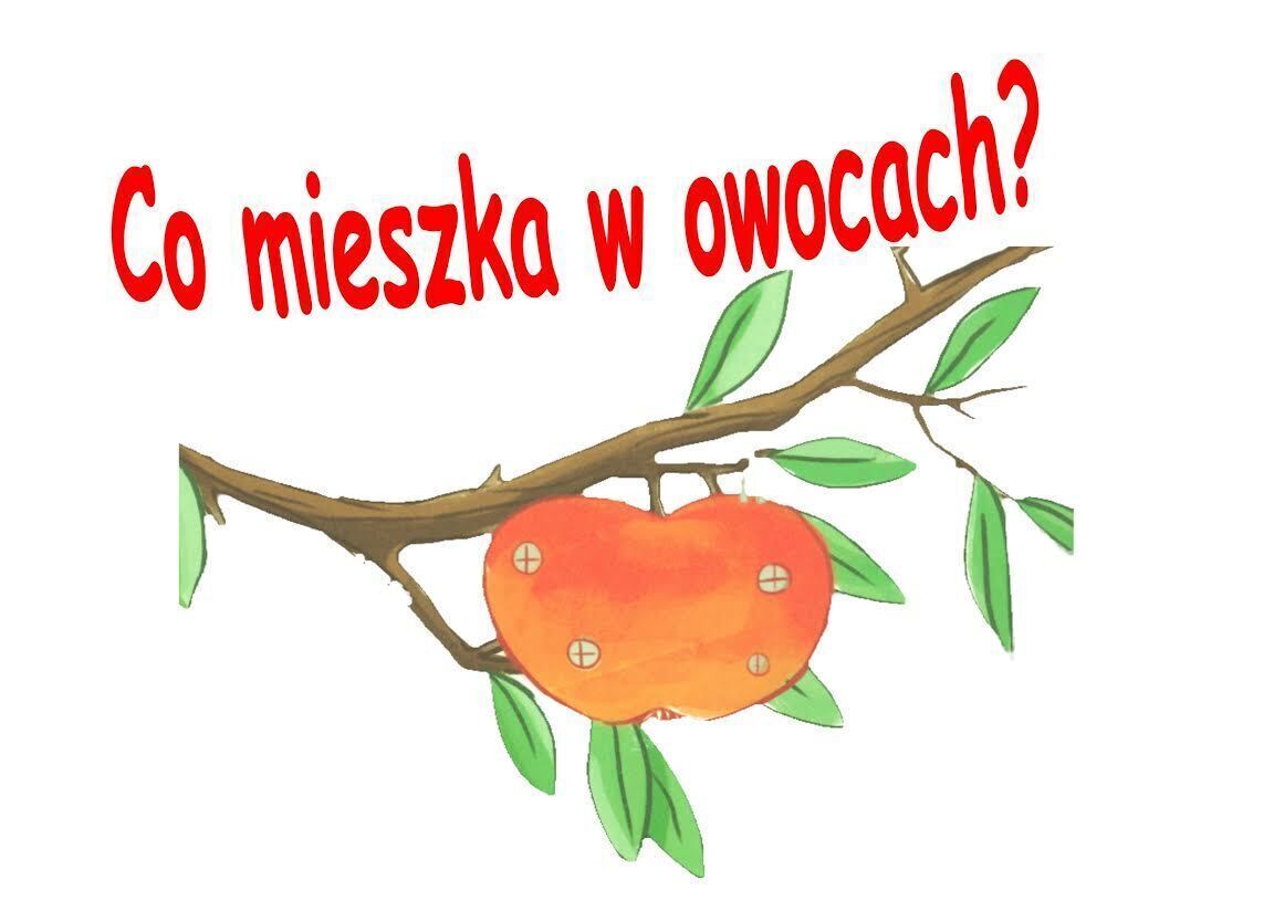 Biblioteka ogłasza konkurs