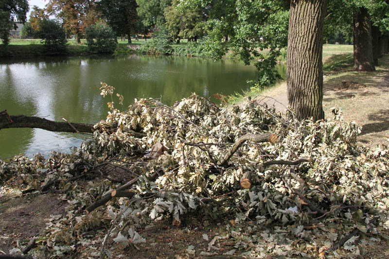 Wschowa kończy się za pierwszym stawem
