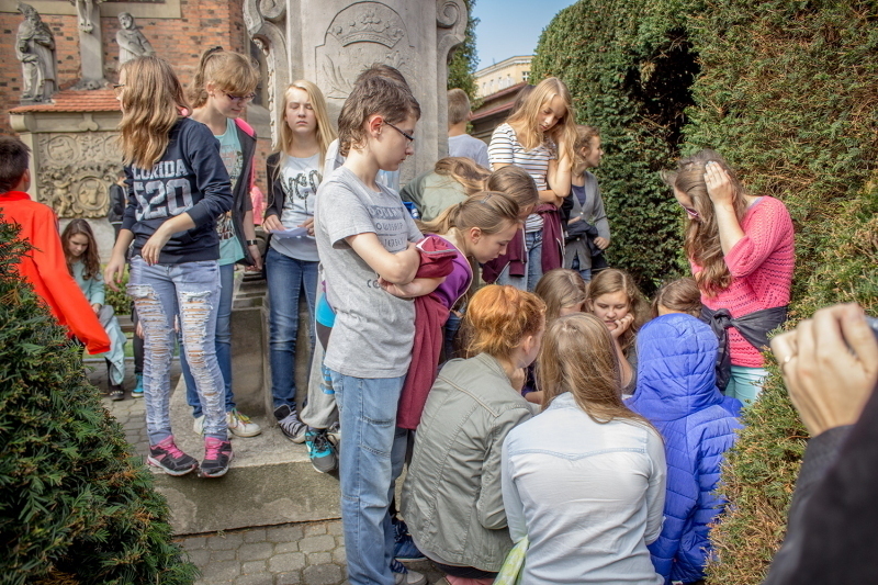 Zanówka 2015