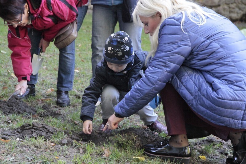 Krokusy dla Żłóbka