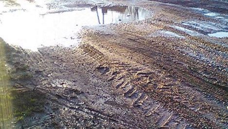 Mieszkańcy Osowej Sieni skarżą się na drogę prowadzącą na cmentarz