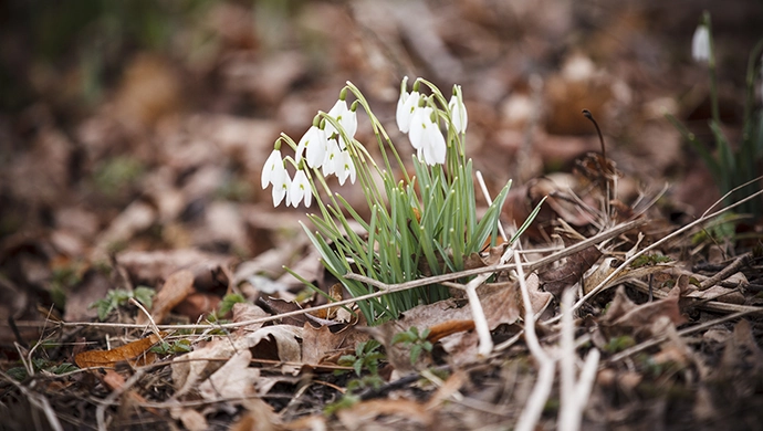 Wiosna w Lapidarium Rzeźby Nagrobnej